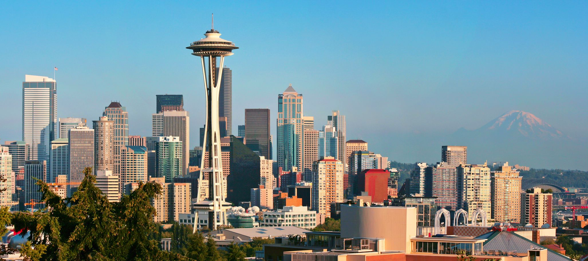 Seattle_Area_In-Home_Care_Professional.png